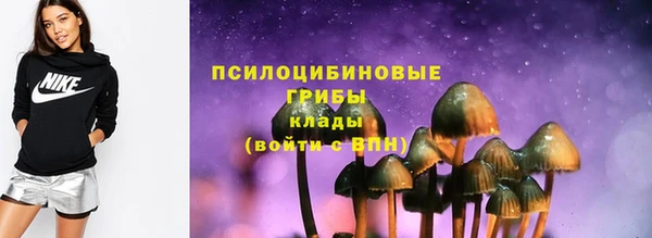 гидра Волоколамск