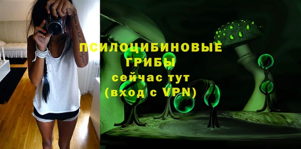 гидра Волоколамск