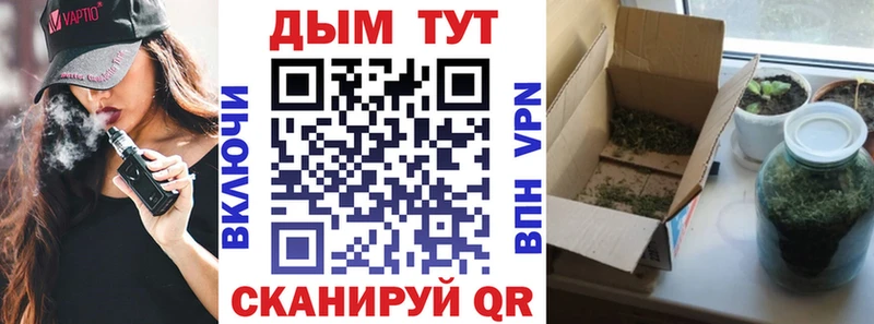 Каннабис индика  Лукоянов 